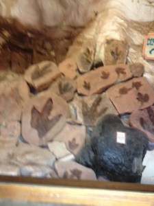 get-attachment (197)