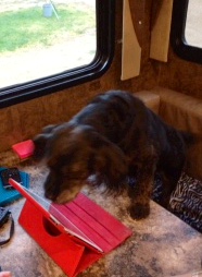 get-attachment (200)