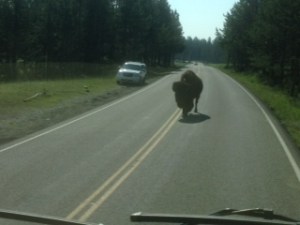 get-attachment (263)