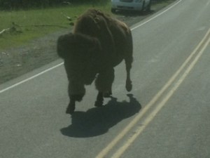 get-attachment (265)