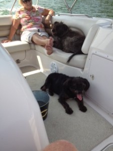 get-attachment (330)