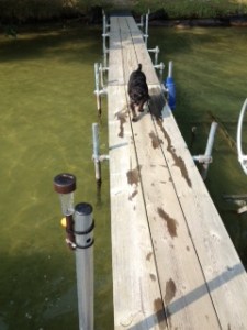 get-attachment (340)