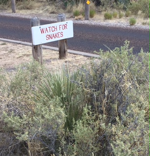 FullSizeRender - Copy (10)