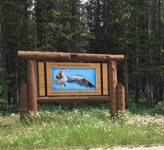 FullSizeRender - Copy