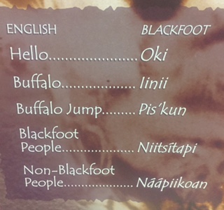 FullSizeRender - Copy