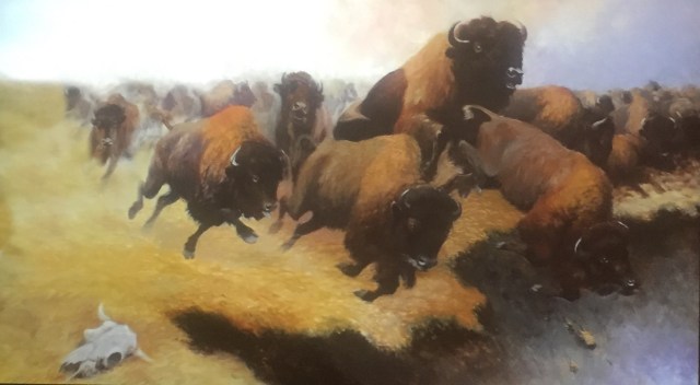 FullSizeRender[49117]