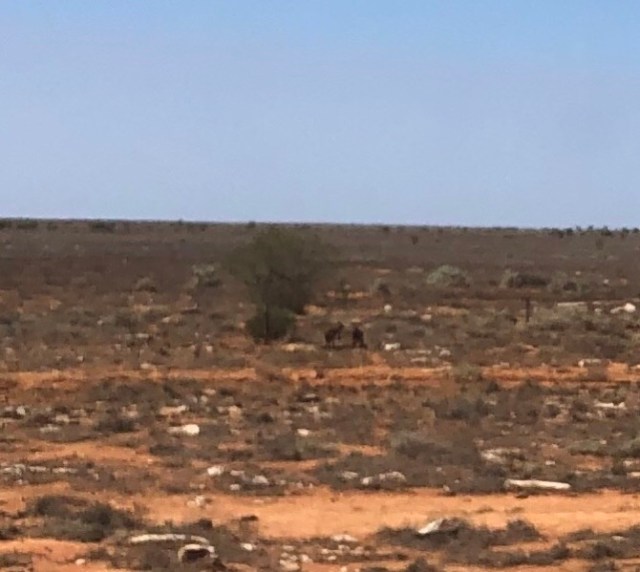 035BDFE3-468E-4E4C-A284-FA98B95562DF