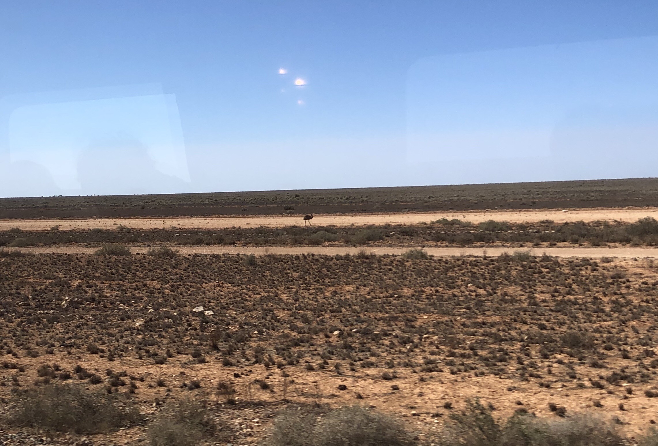 558FC5B7-2923-4D15-B42E-44A272E1F52E