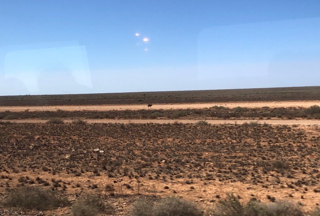 558FC5B7-2923-4D15-B42E-44A272E1F52E