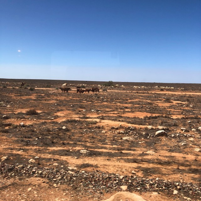 AE1A9EF0-2703-4277-BE0E-997403DAEA31