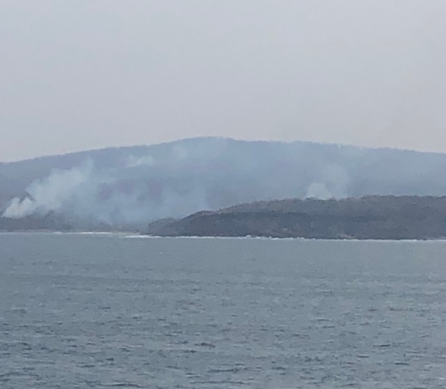 D358E1C8-4015-485A-8BFA-5274E2E7B6CB