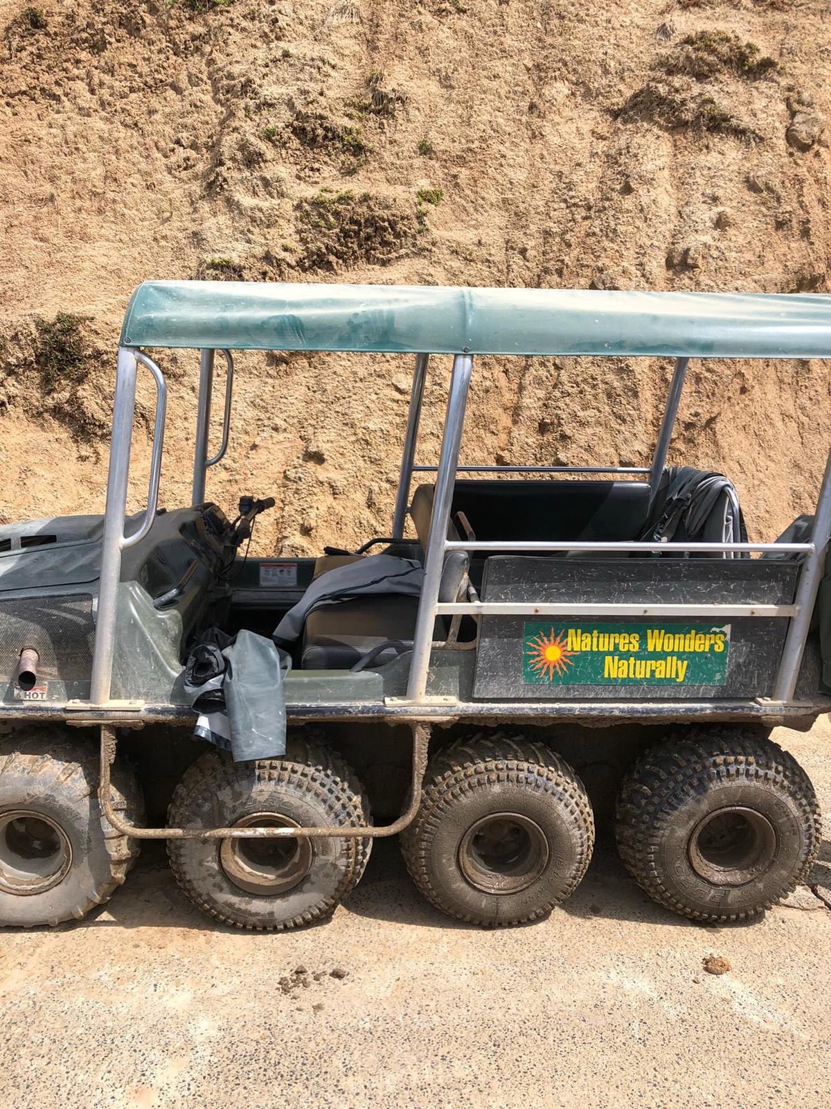 454E679A-C81A-40F2-B619-75041BECB1B4