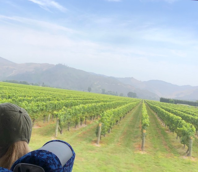 713DF570-068A-4300-9E43-9ADCD3256953