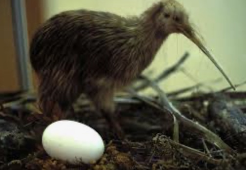 8FAB461E-BFC2-4C35-B247-CB5BD197A118