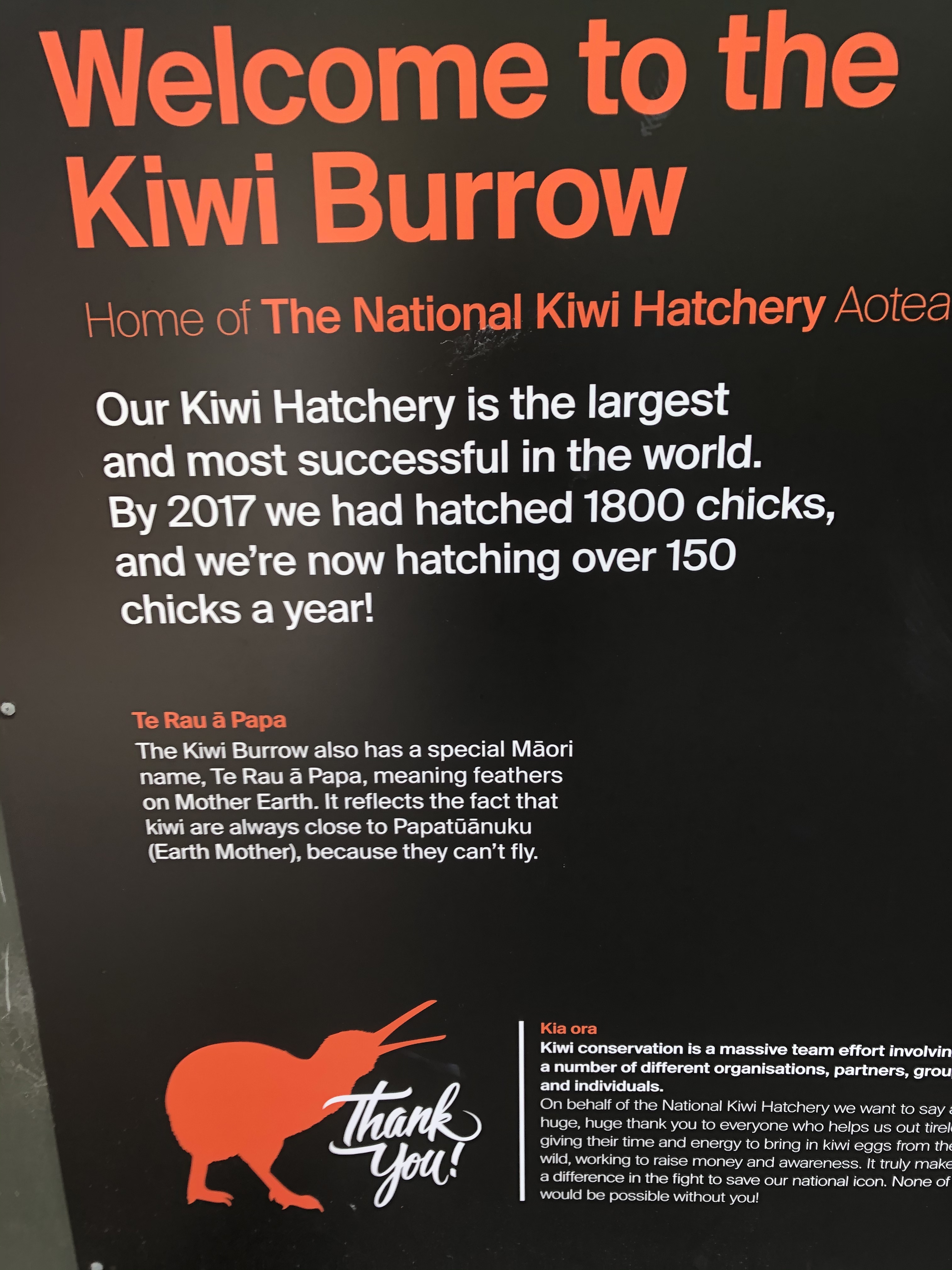 B48D123B-23FB-419F-BE88-9F86D275D347