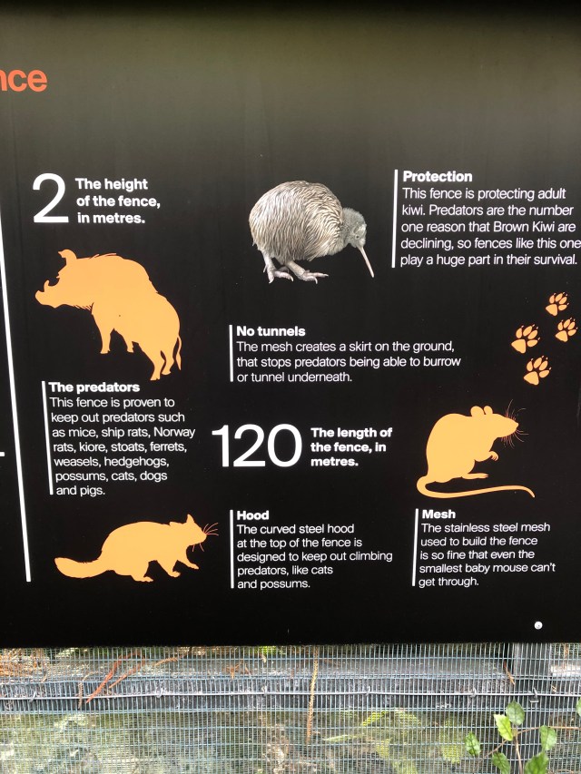 E45A7DD8-0550-452B-8C98-2BCEC656A363